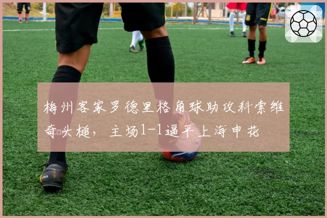 梅州客家罗德里格角球助攻科索维奇头槌，主场1-1逼平上海申花